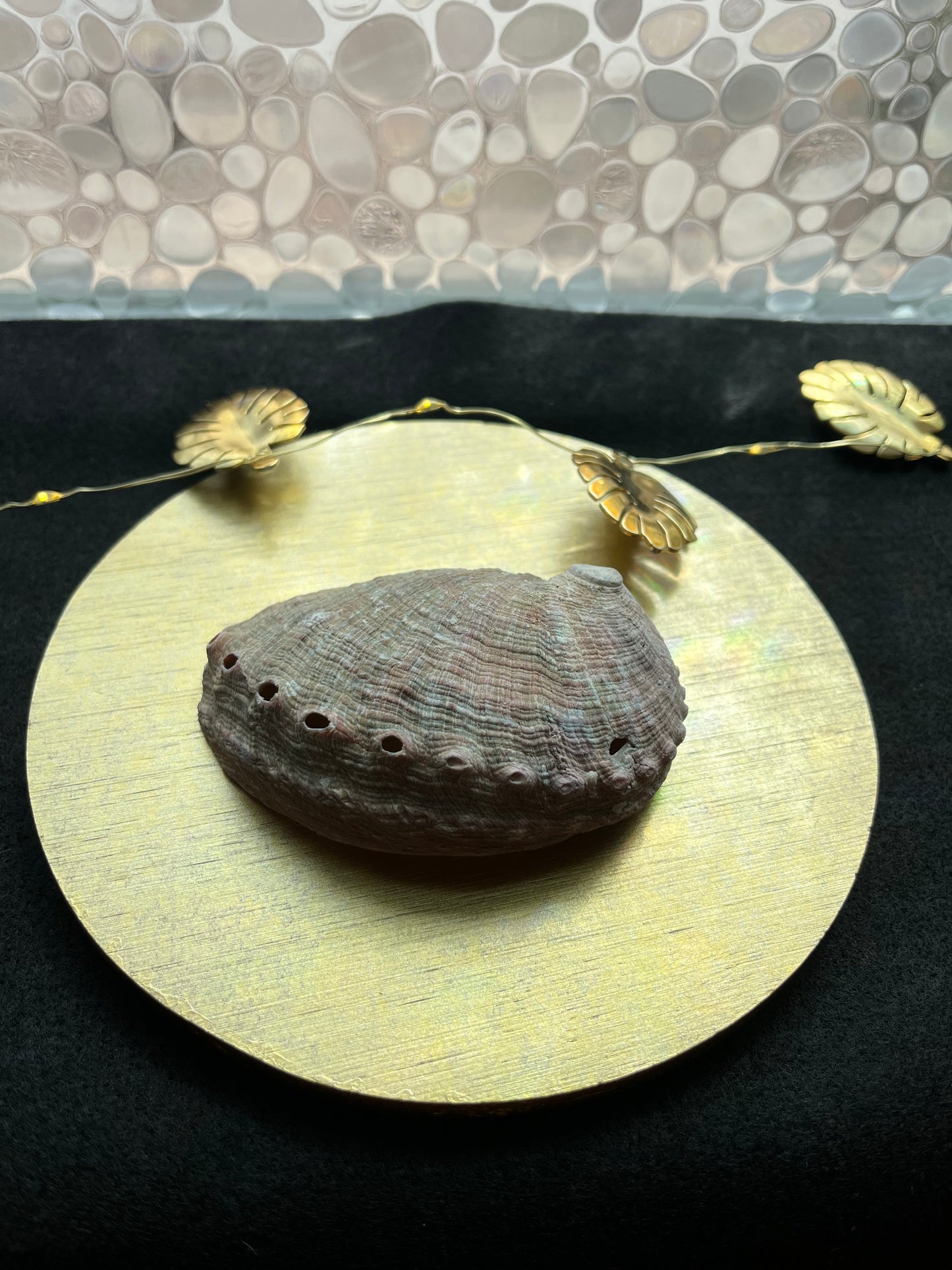 My Sacred Abalone Shell Smudge Bowl