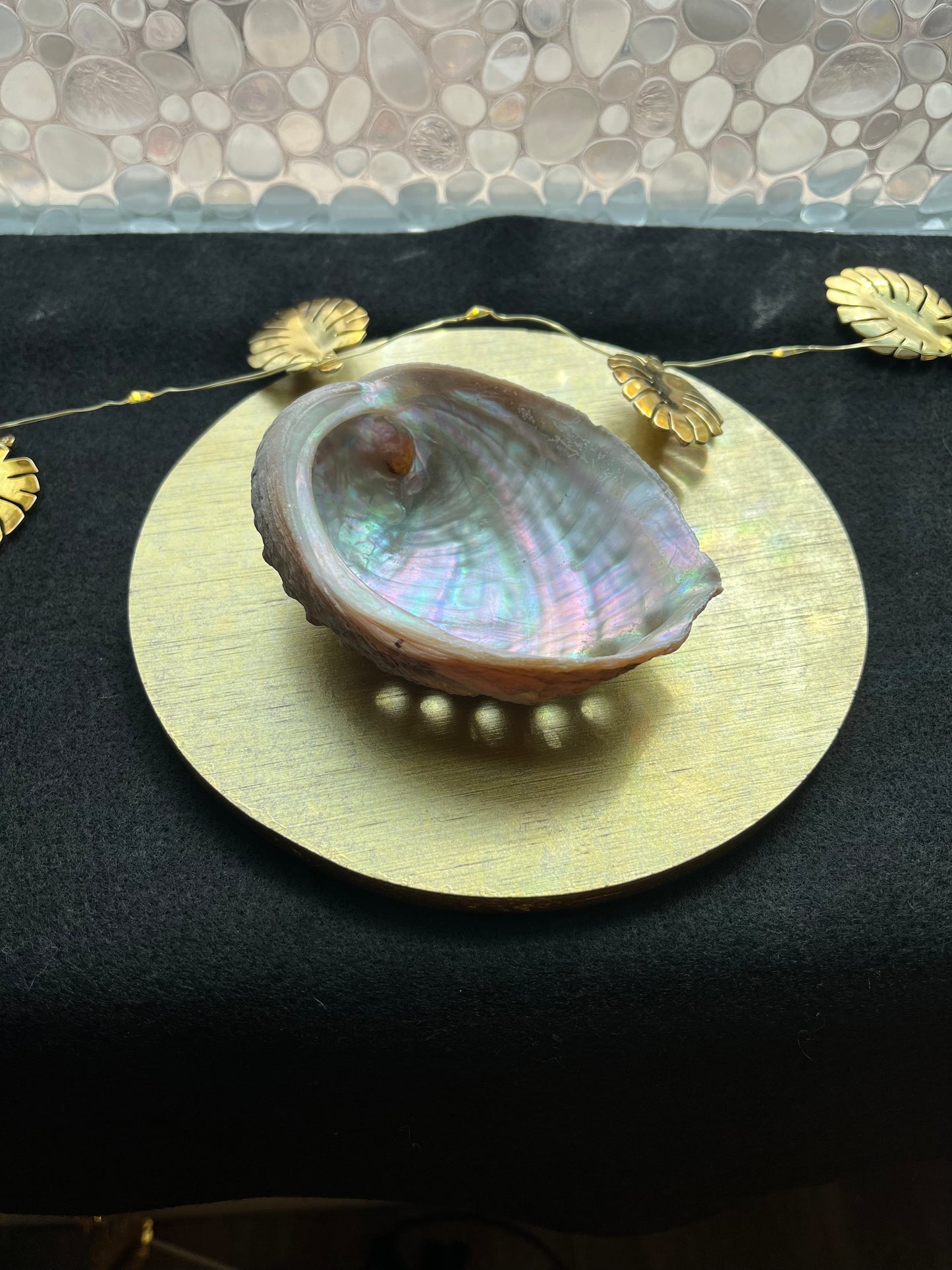 My Sacred Abalone Shell Smudge Bowl