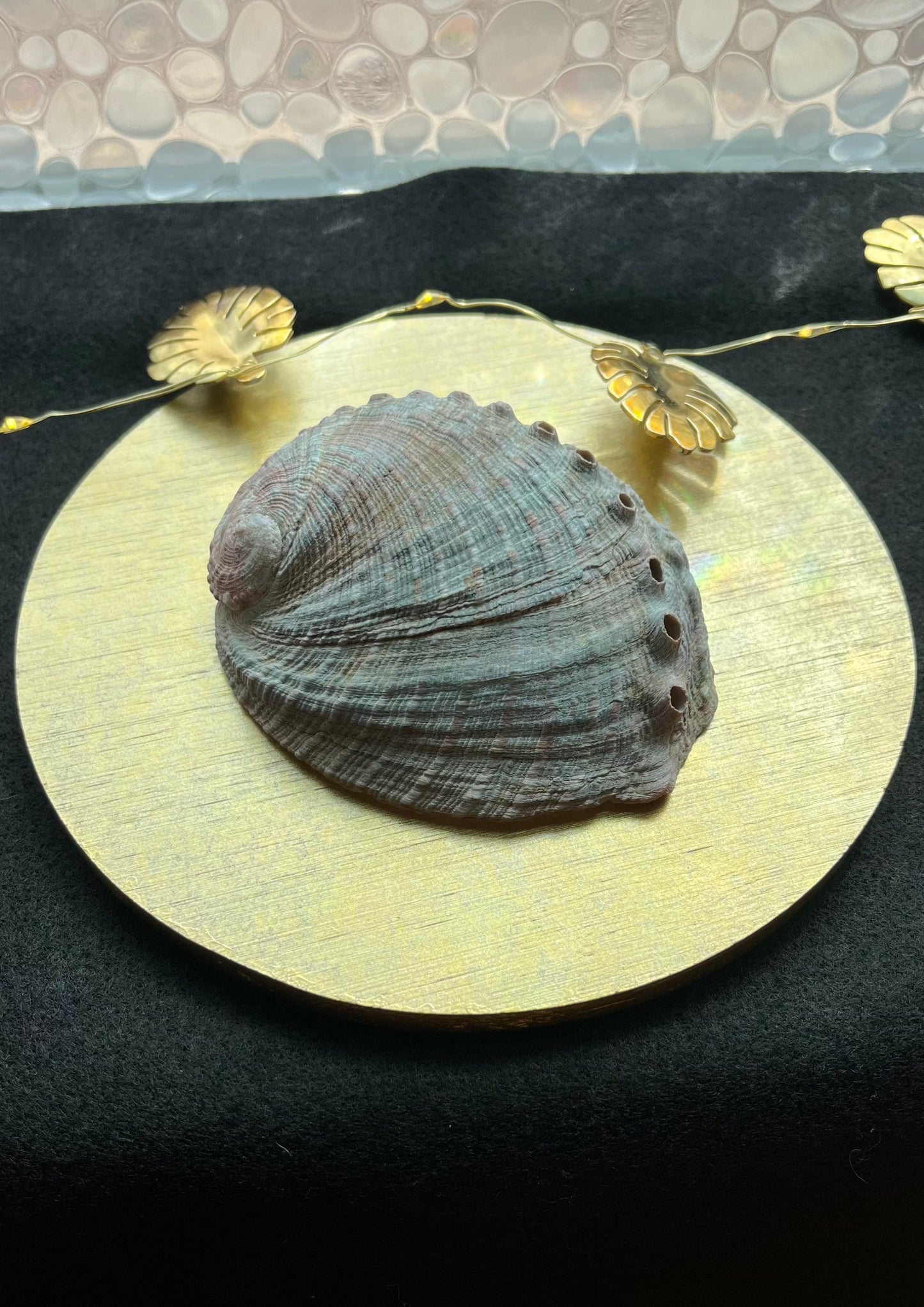 My Sacred Abalone Shell Smudge Bowl